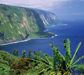 Maui