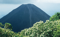 Northern Andes - 20% off