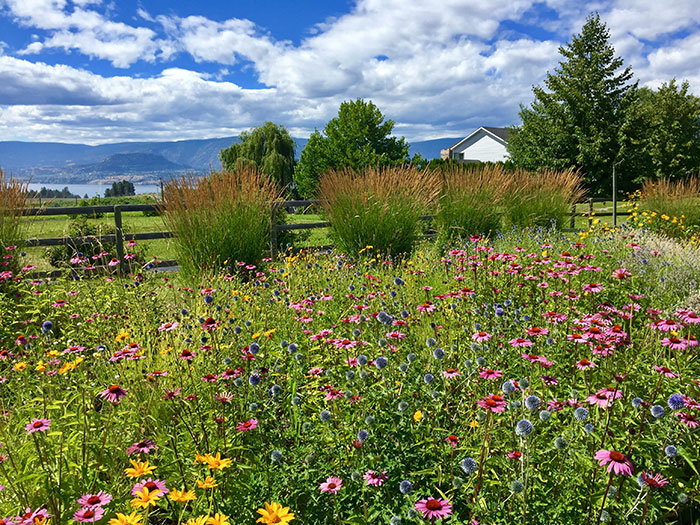 3 Epic Road Trips to Take from Vancouver Flight Centre UK