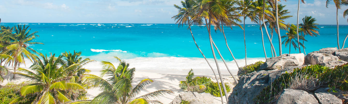 Barbados Holidays 2021 2022 Tailor Made Holidays