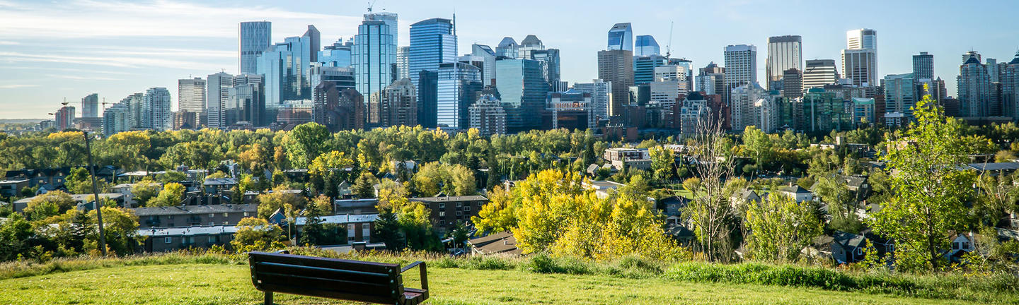 A park overlooking the skyline in Calgary
