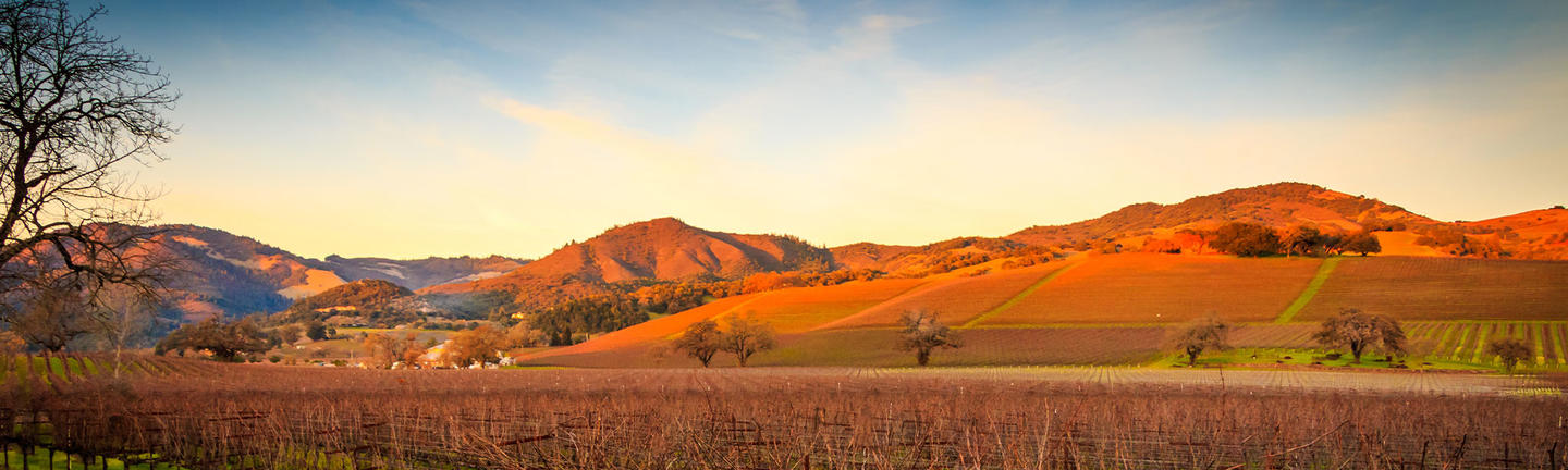 California wine region