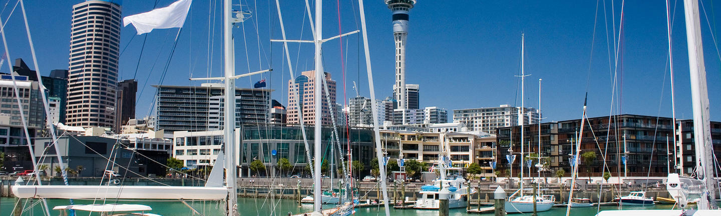 Boats in Auckland Harbour