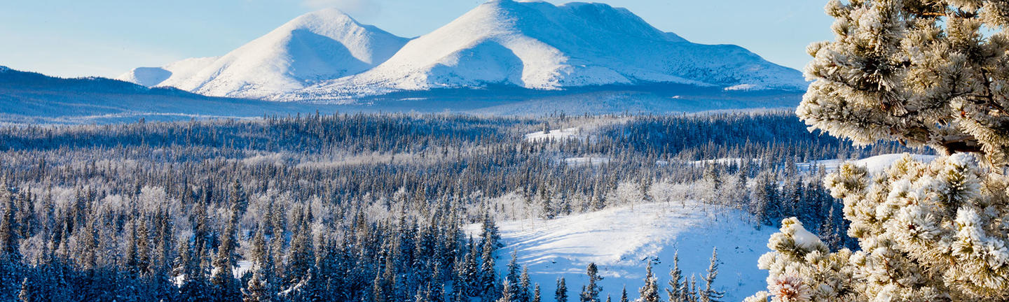Snow covered scenery in Yukon