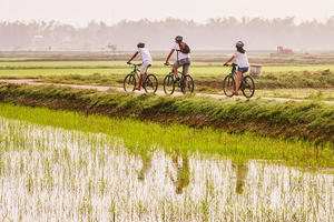 Cycling in Hue