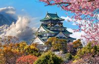 Japan Uncovered Holidays 2025/2026 Flight Centre UK
