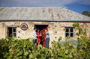 Pearsons Winery Cellar Door, Pearsons Vineyards | © SATC