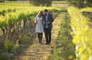 Walking Through The Vineyards, Charles Melton Wines, Tanunda | by SA Tourism