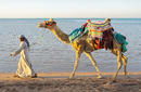 Take a camel ride on the beach