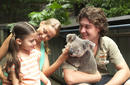 Enjoy Being Up-Close With Koalas