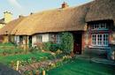 Thatch Roof Houses