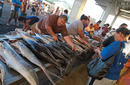 Fish Market | by The Samoa Tourism Authority ©Kirklandphotos.com