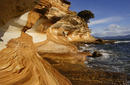 Cliff Formations, Maria Island