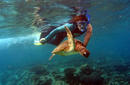 Swimming with Turtles, Ningaloo Reef