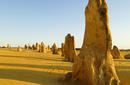 The Pinnacles Desert, Nambung National Park